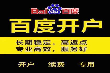 金融行业SEM服务的创新应用与效果